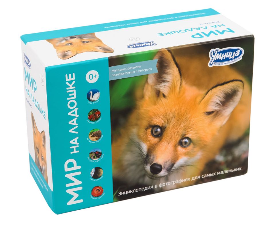 Мир на ладошке Выпуск 2