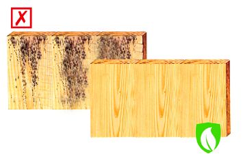 Стерилизация древесины Ларитех Экосепт