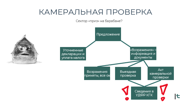 Схема камеральной проверки: после уведомления — уточнённые декларации или возражения, далее акт проверки, выездная проверка или передача сведений в УДФР КГК