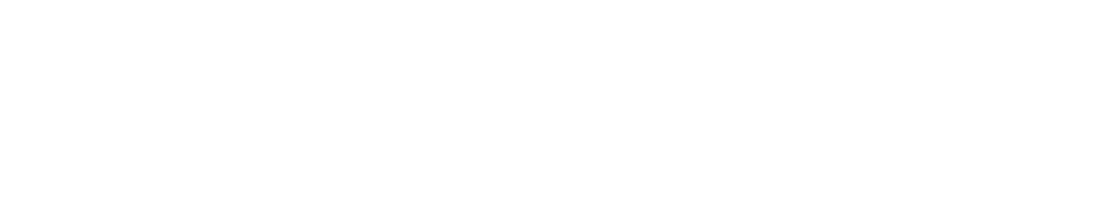 Бюро Плис