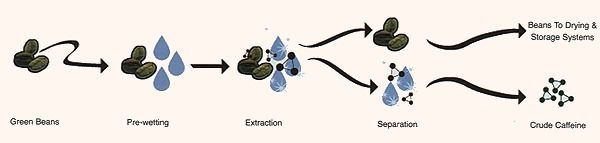 Общий процесс декофеинизации кофе. Зеленые зерна -> Предварительное смачивание -> Экстракция кофеина -> Выделение кофеина из раствора